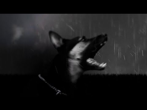 Adura - Dog ( Official music video )