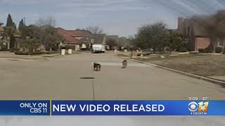 New Video, Document Released Regarding Dak Prescott&#39;s Dog That Bit Neighbor