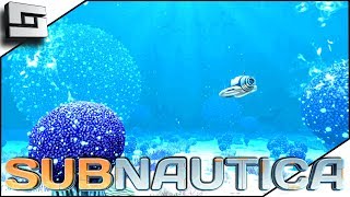 Subnautica Gameplay - KOOSH BIOME! S4E10