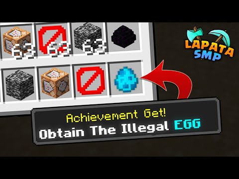 SunnyXD - How These ILLEGAL Items Ruined The Entire Lifesteal SMP...