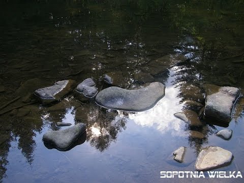 █▬█ █ ▀█▀  Ace of base-Life is a flower[Sopotnia landscape lyric mix]