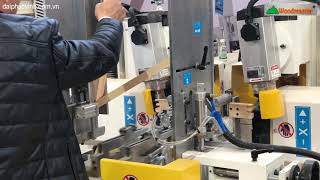 |WOODMASTER| MÁY LÀM MỘNG ÂM-DƯƠNG 2 ĐẦU GIÁ RẺ