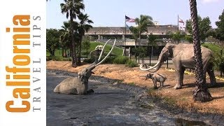preview picture of video 'La Brea Tar Pits - Page Museum'