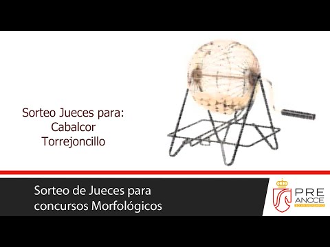 Sorteo en directo de  los Jueces para Cabalcor y Torrejoncillo