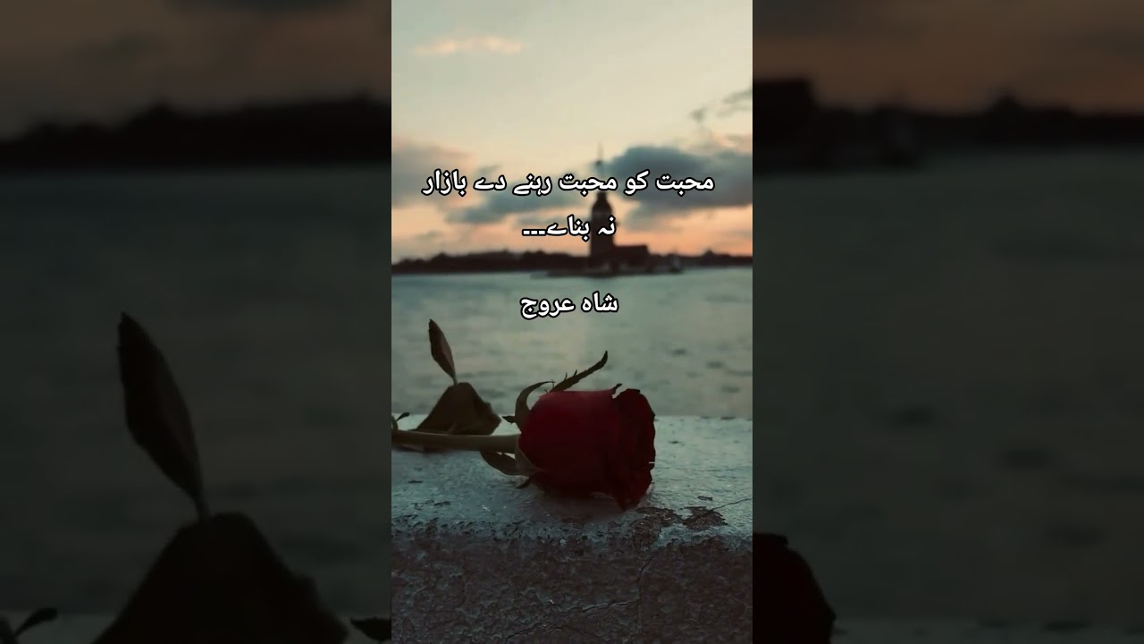 Urdu quotes by Shah Urooj 🥰🥰🥰#inspirationalquotes #urduquotes #love