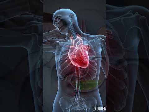 What Happens When You Sleep on Your Left Side Every Night? | Health Benefits Explained