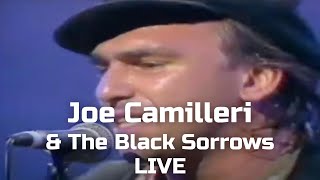 The Black Sorrows Chain to Wheel Live