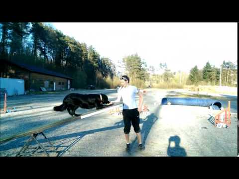 solgunn og Zita trening 22 april