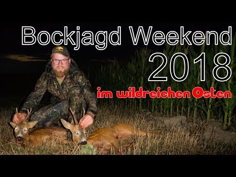 Bockjagd Weekend 2018 zur Blattzeit im wildreichen Osten