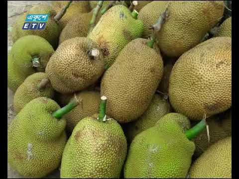 নড়াইলের কাঁঠাল যাচ্ছে দেশের বিভিন্ন জেলায়
