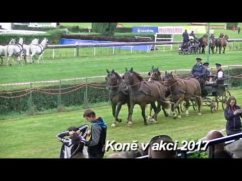 DS KONĚ V AKCI 2017 průvod na závodišti
