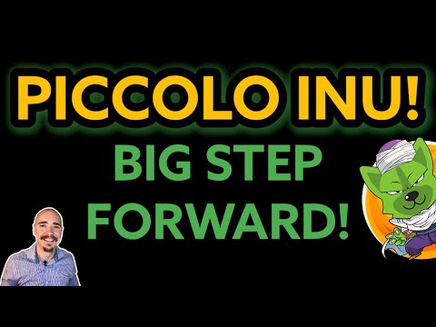 PICCOLO INU TAKES BIG STEP FORWARD! CERTIK AUDIT COMPLETE!
