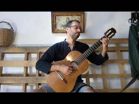 Adolfo Mendes - Gaivota