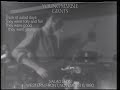 Young Marble Giants — Salad Days