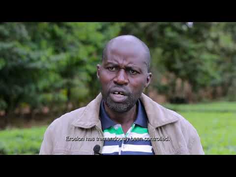 How GreenGicumbi terraces have contributed to increased agricultural productivity in the community