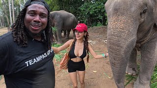 I Love Elephants - Koh Samui Thailand