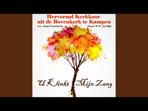 Meester, men zoekt U wijd en zijd