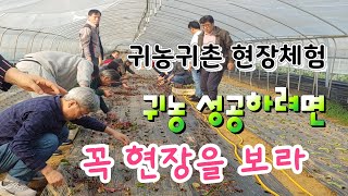 귀농해서 돈되는 농사 하려면 ? 꼭 성공하려면 현장 체험을 하라