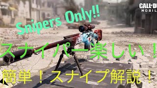 Snipers Onlyで簡単にスナイパー講座した！
