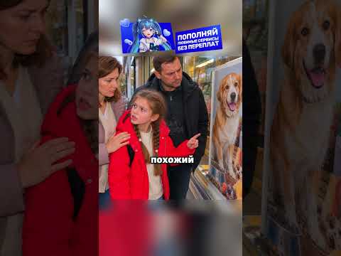 думала что потеряла свою собаку