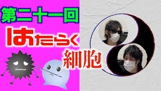 【はたらく細胞】今期のアニメが超教育的！！【木瀬SANトーク】＃21