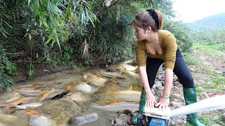 The Simplest Fishing by a Girl | Fishing Techniques, Catching Fish With Pump, Catching A Lot Of Fish