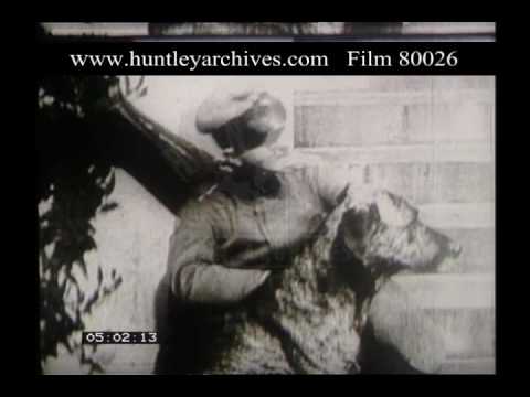 German Air Aces, 1910s - Film 80026