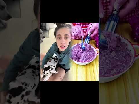 Dog Psychology Facts 🐶🧠 w OnlyJayus - #Shorts #pov #funny