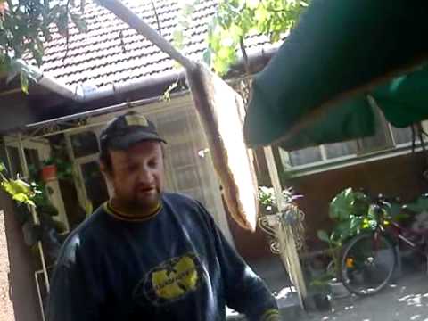 "muntenas" de la somosches part.3