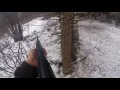 Chasse Au Renard 2017