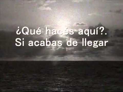 Como Decirte video