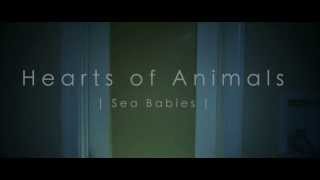 Hearts of Animals - Sea Babies (official video)
