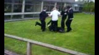 Hairless Charity , Jordan,Alex,Jack,Jez And Lauren