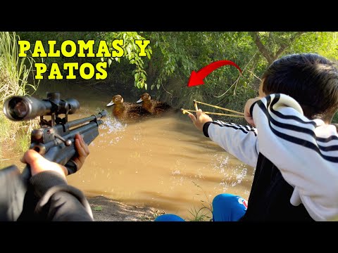 Hunting in Mountains and Lagoons/PCP, Nitro Piston and Slingshots / Duck and Pigeon Hunting/Hunti...