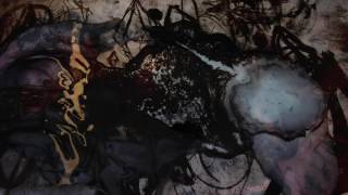 Ian William Craig - It Need Not Be Hopeless - album teaser