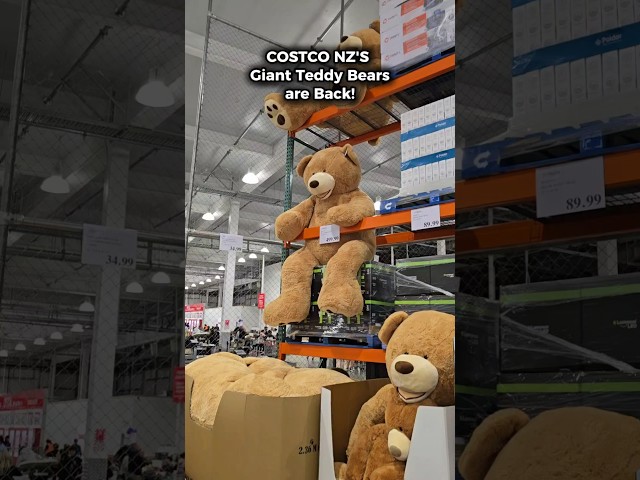 Vídeo relacionado con IKASA Teddy Bear Oso Gigante con Grandes Huellas Juguete de Peluche Suave Animal de Peluche (Marrón, 100cm)