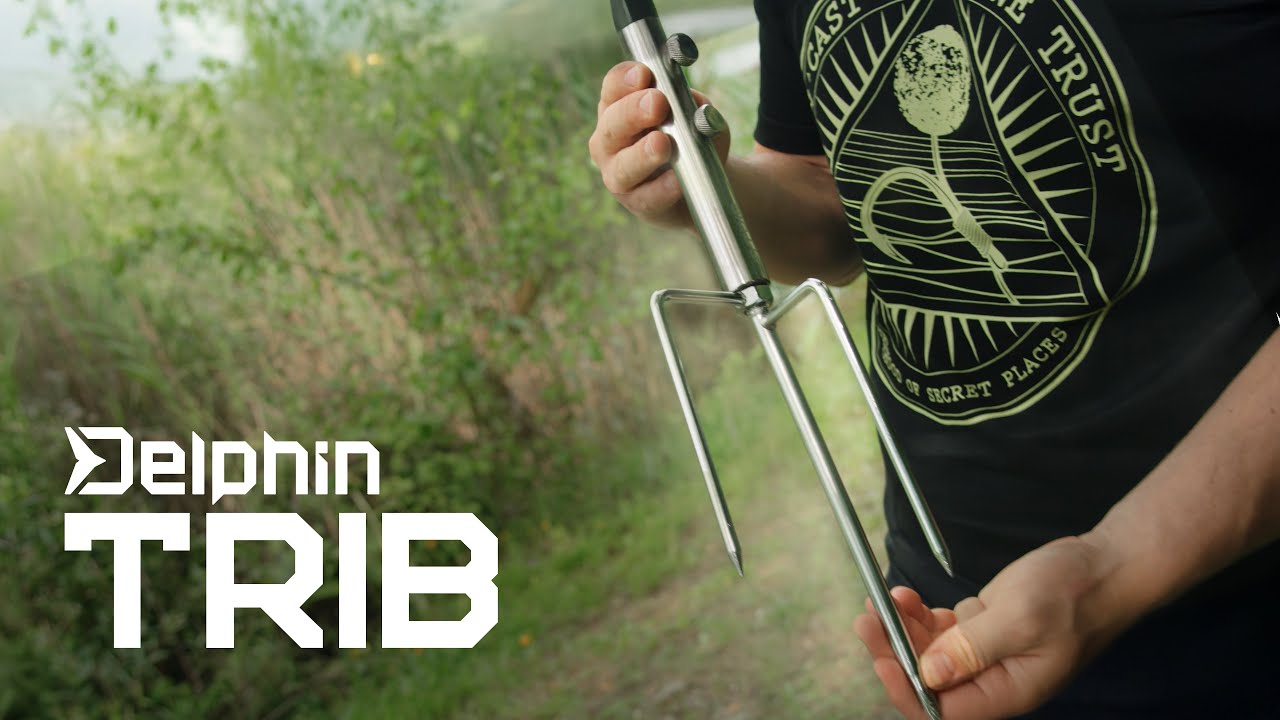 Delphin TRIB
