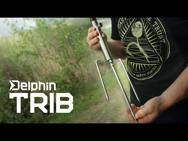 Delphin TRIB