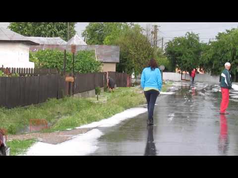 Grindina din Marcesti de necrezut