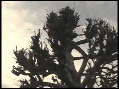 Marna snaha - Ak chces prezit