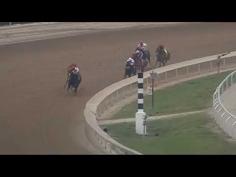 RACE 8 GULFSTREAM PARK USA 10 JAN 2026