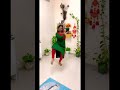 VANAMAALI Preenu Rejeesh