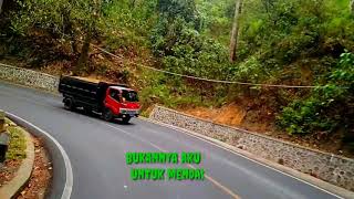 Download lagu Story wa Wali masih adakah mp3