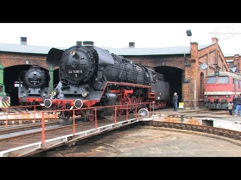 Dampfloks im Bw Stassfurt 2015 2-2 Steam Locomotives