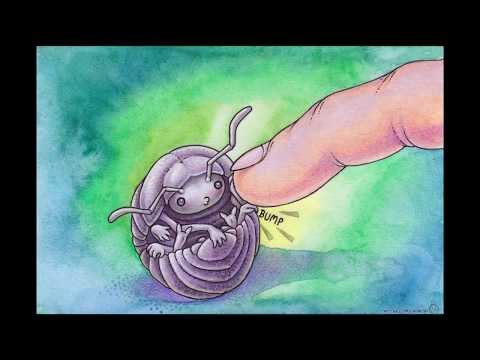 Welcome to my Patreon