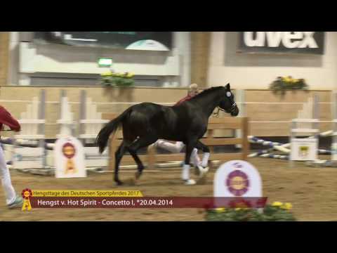 KN 34 v. Hot Spirit - Concetto I