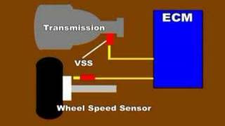VSS or Vehicle Speed sensor