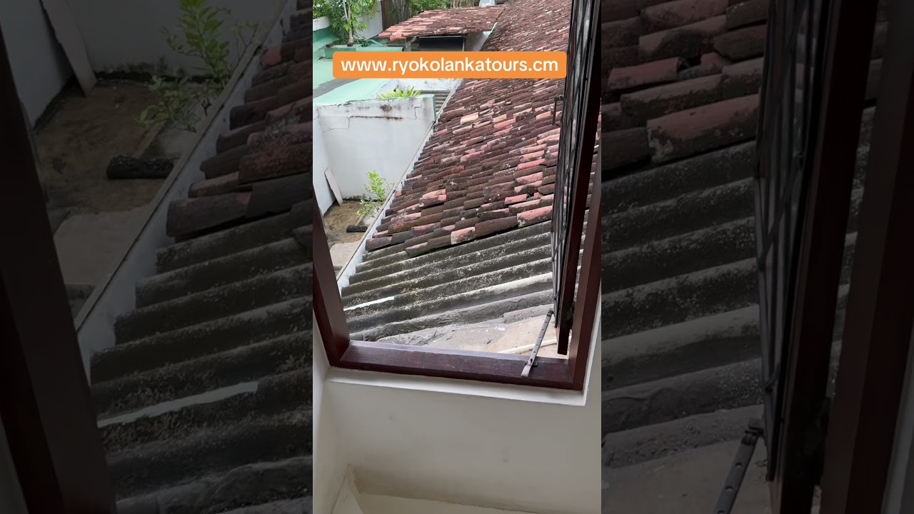 YouTube Short thumbnail