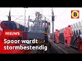 Megaklus: kilometerslang windscherm op spoorbrug HSL | Omroep Brabant