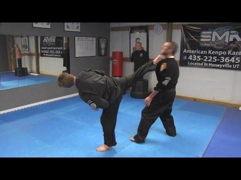 Kenpo Karate Techniques AKKI